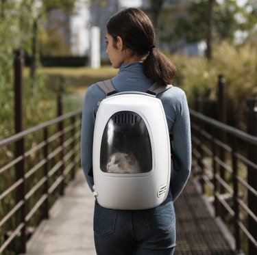 A woman on a bridge wearing the pet carrier in white. There's a cat inside that you can see through the tinted window.