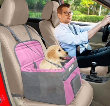 Small Dog Car Seat  Skybox Rear Dog Booster Seat