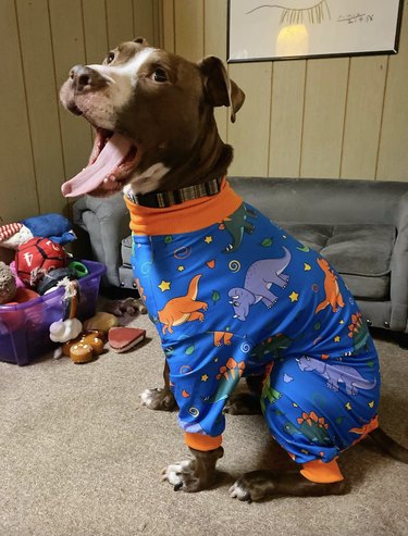 A dog is yawning and wearing dinosaur pajamas.