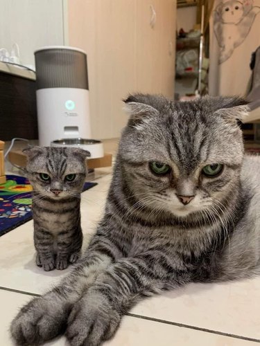 cat sits next to needle felt cat.