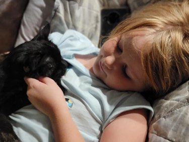 rescue cat sits on emotional girl's chest.