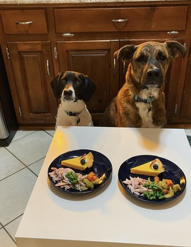 Two dogs sitting at a table with two plates of Thanksgiving dinner food.