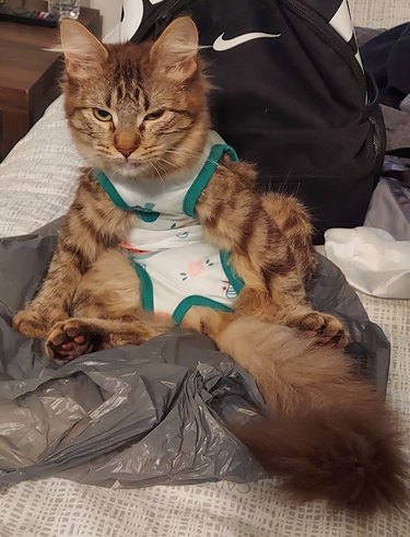 grumpy cat in onesie