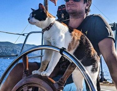 a cat steering a boat with a man.