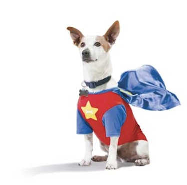 Dog wearing a Super Pup tee that's blue, red and yellow with a matching blue cape.