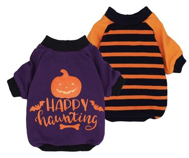 Set of two Halloween dog shirts. One is purple with black trim and says "Happy Halloween" on the back in orange with a pumpkin, bone, and bats. The other is orange and black striped with black trim.