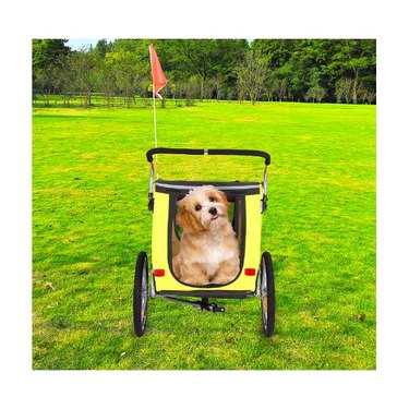 A small fluffy dog in a yellow Sepnine and Leonpest Large Bicycle pet Trailer and Jogger 2 in 1