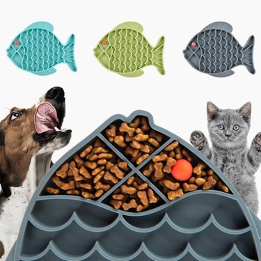 A dog and cat next to a Manunclaims Fish-Shaped Cat Slow Feeder with three full-sized feeders above them