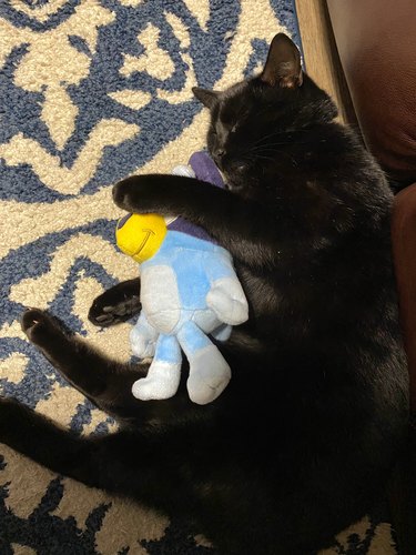 black cat sleeping with stuffed animal.