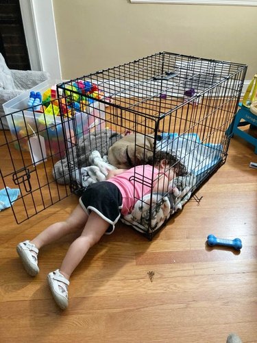 child and adopted dog sleep together