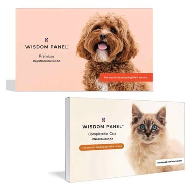 A Wisdom Panel bundle containing a dog DNA test kit and a cat DNA test kit