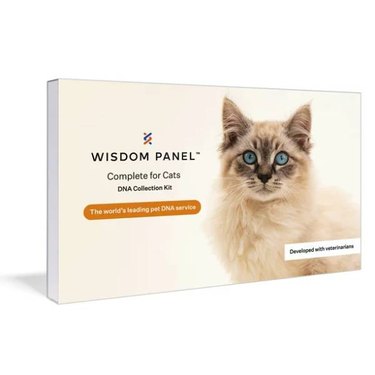 A Wisdom Panel Complete Health and Ancestry Cat DNA Test with an image of a long-haired cat