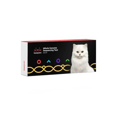 A Basepaws Whole Genome Sequencing DNA test kit with a white cat on the box