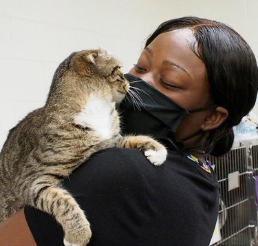 woman adopts first cat