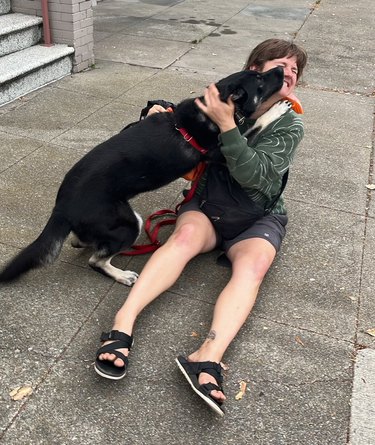 excited dog reunites with former foster dog