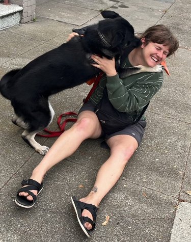 excited dog reunites with former foster dog