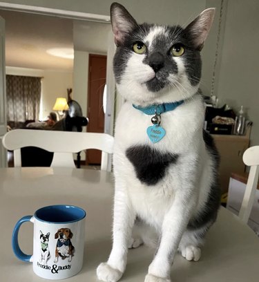 a cat standing next to a cat and dog coffee mug