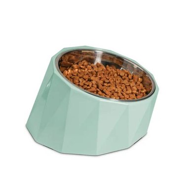 A Tilted Angle Stainless Steel Dog Bowl in a blue stand good for bearded dogs or dogs with long ears