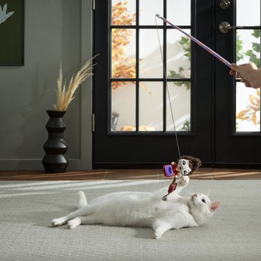 A white cat laying on the floor playing with Hocus Pocus teaser toy being held by an anoymous person. The toy features a plush Mary toy holding onto a vacuum cleaner.