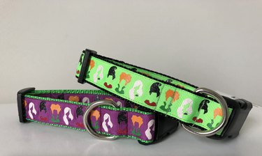 Two Hocus Pocus dog collars, one purple and one lime green with the faceless silhouettes (hair and shoulders) of the Sanderson sisters. Each collar has a black buckle and a silver D-ring.