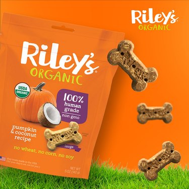 pumpkin coconut dog treats