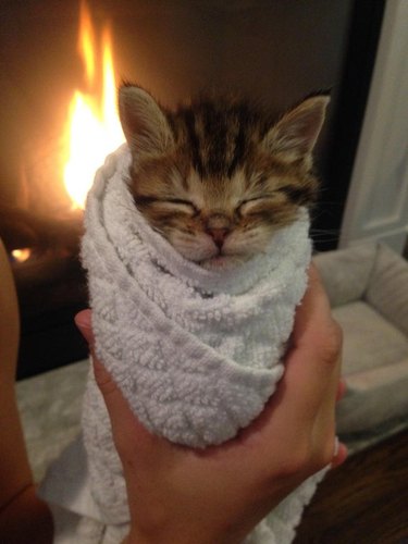 A brown striped kitten wrapped up in a white towel beside a fireplace.