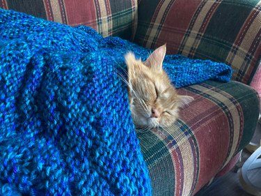 An orange tabby cat sleeps on a plaid couch beneath a blue knitted blanket.