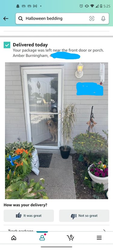 dog greets delivery person.
