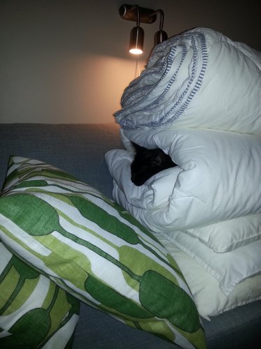 Black cat sleeping in between layers of a stack of folded white laundry