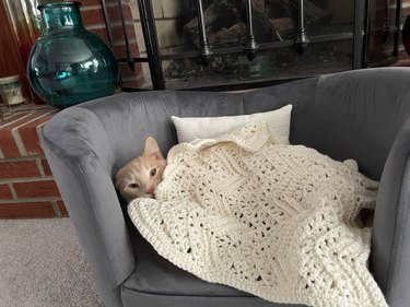 Cat lays under miniature crocheted blanket on miniature gray couch with miniature white throw pillow.