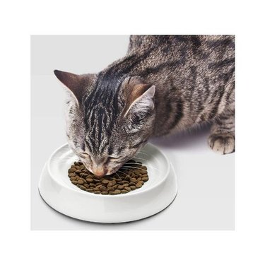 A grey cat eating dry food from a CatGuru Whisker Stress-Free Cat Food Bowl