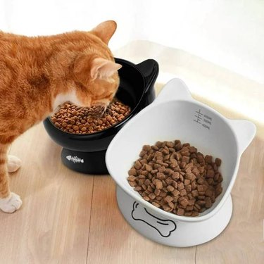 An orange cat eating from raised eTzone Ceramic Tilted Pet Feeder and Waterer for Cats