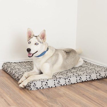 Husky with blue eyes laying on a dog mattress/bed with images of Jack Skellington on it.
