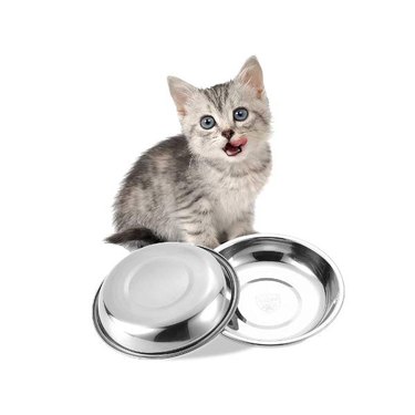 A grey kitten with two wide VENTION Shallow Cat Food Bowls