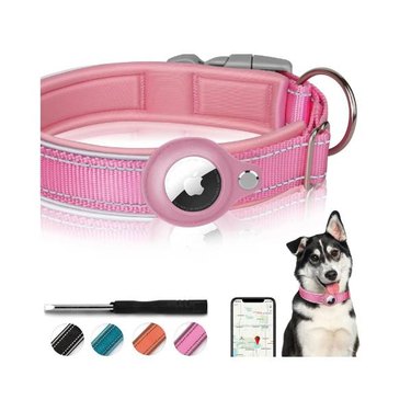 A husky dog next to a pink FEEYAR Padded Apple Air Tag Dog Collar