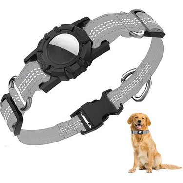 A retriever next to a grey and black Trenzado Apple Airtag Reflective Dog Collar