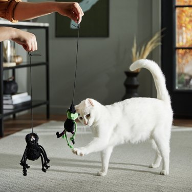 Two bouncy cat toys on strings, one is a black spider with rope legs and the other is a green mouse witch with a rope tail and arms.