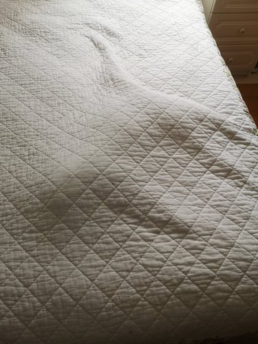 Outline of cat sleeping under flat blanket on bed