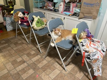 orange cat sits on folding chair along with a child's stuffed animals.