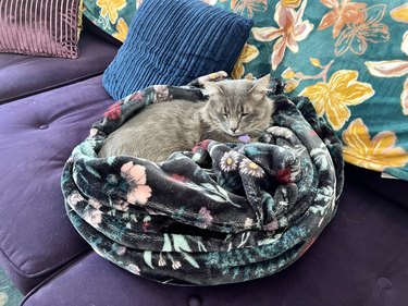 a grray cat is relaxing in a cat bed.