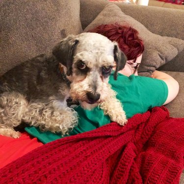 dog laying on woman's back