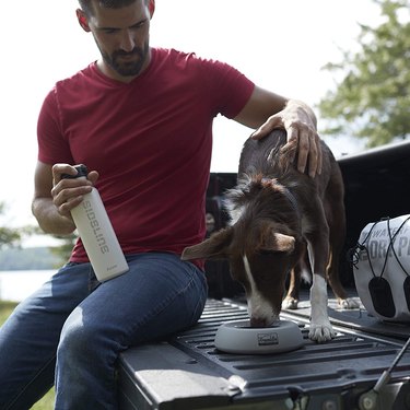 Man and dog in back of pick-up truck with non-spill, rubber dog bowl that the dog is drinking out of.