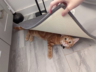 cat hiding under bath mat.
