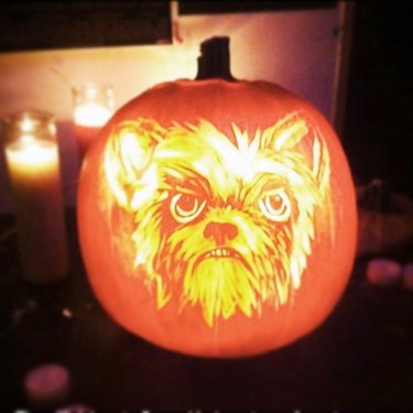 detailed pumpkin carving of dog