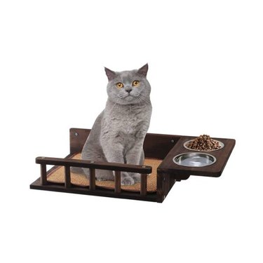 A grey cat perched in an Austy Wooden Cat Feeding Shelf