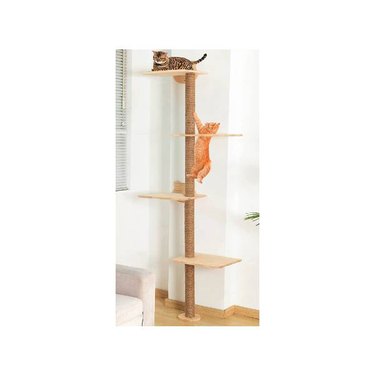 Two cats on a wall-mounted 72-inch cat tree