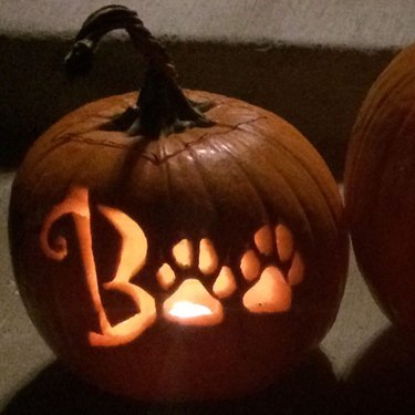 dog's paw print carved into pumpkin