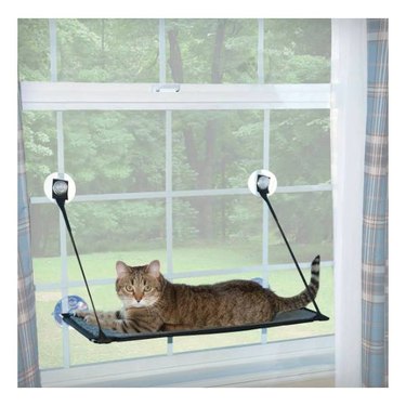 A brown cat lying in a K&H Pet Products EZ Mount Cat Window Perch