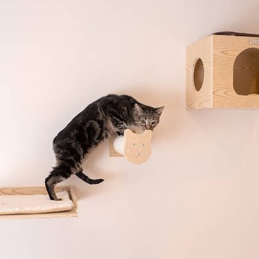 Cat against a pink wall climbing onto wall-mounted boxes and perches made of plywood and sisal.