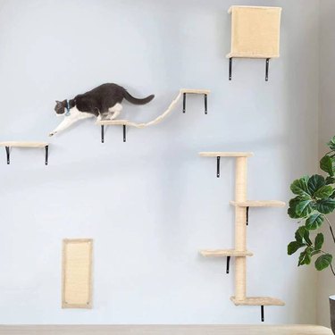 A grey and white cat climbing on a Coziwow 5 Pcs Wall-mounted Cat Tree Set
